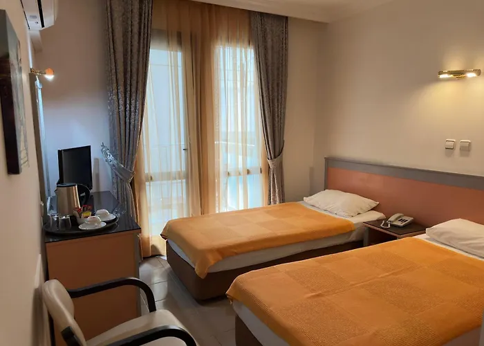 阿塔公园酒店 4* 费特希耶