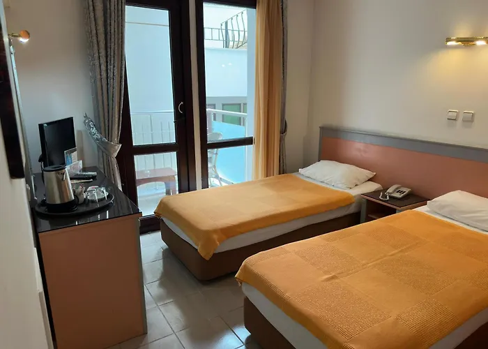 아타 파크 호텔 4*