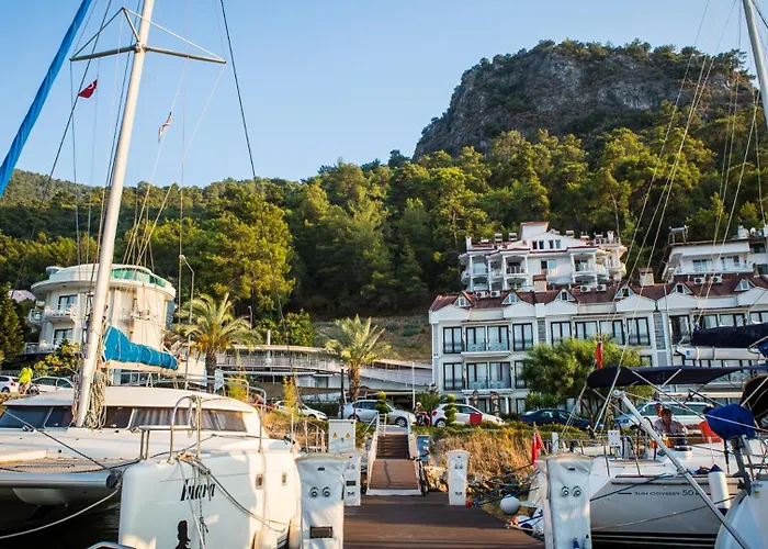 아타 파크 호텔 4*