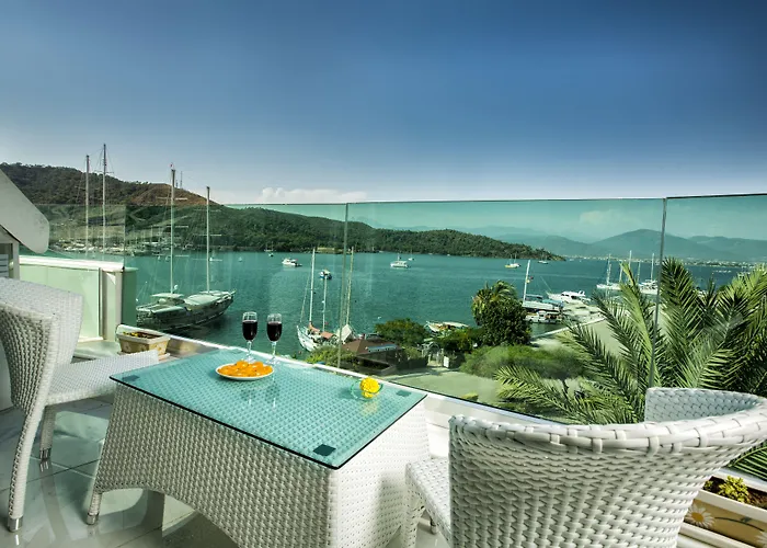 호텔 아타 파크 페티예