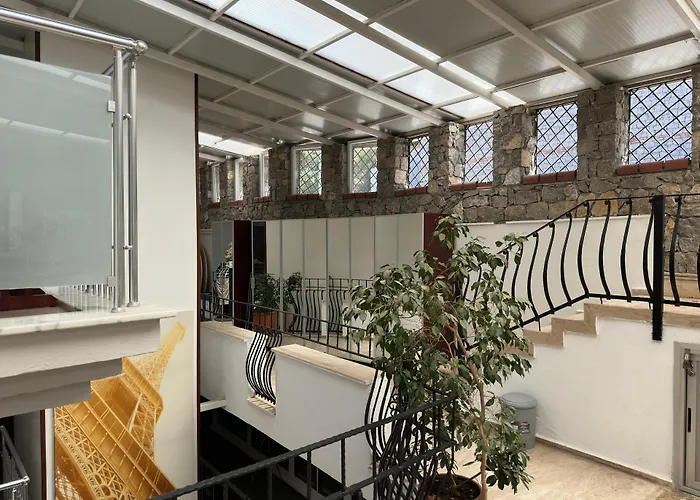 아타 파크 4* 페티예